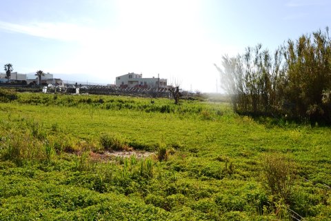 2980m² Land in Rethymno, Greece No. 57541 4