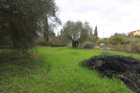 6400m² Land in Corfu, Greece No. 58357 8