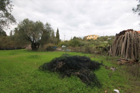 6400m² Land en Corfu, Greece No. 58357 7