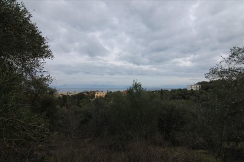 6400m² Land in Corfu, Greece No. 58357 17