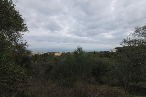 6400m² Land en Corfu, Greece No. 58357 18