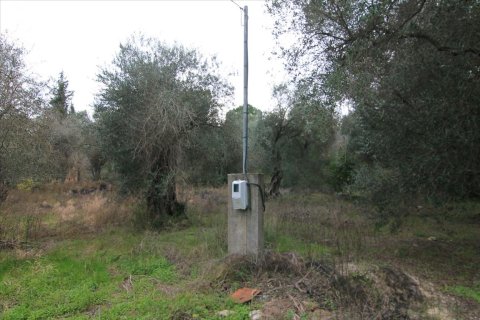 6400m² Land in Corfu, Greece No. 58357 3