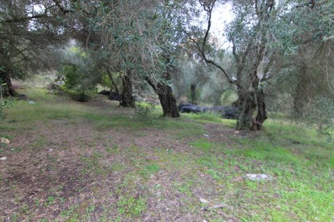 6400m² Land en Corfu, Greece No. 58357 5