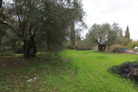 6400m² Land en Corfu, Greece No. 58357 6