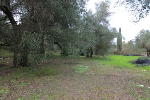 6400m² Land in Corfu, Greece No. 58357 1