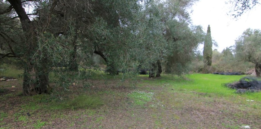 6400m² Land in Corfu, Greece No. 58357