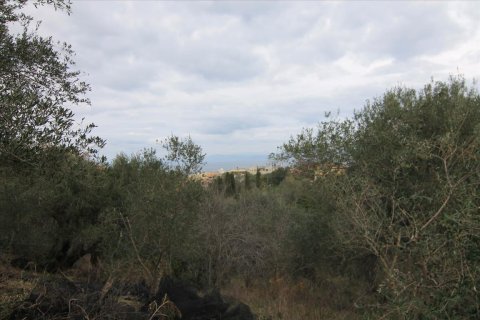 6400m² Land en Corfu, Greece No. 58357 14