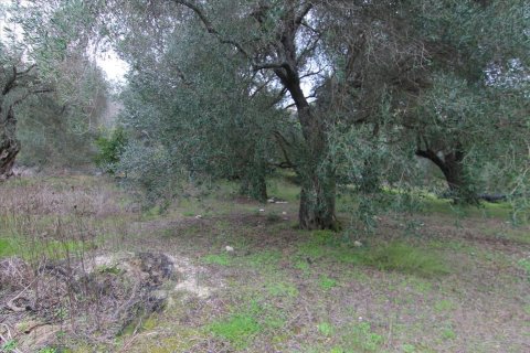 6400m² Land à Corfu, Greece No. 58357 2