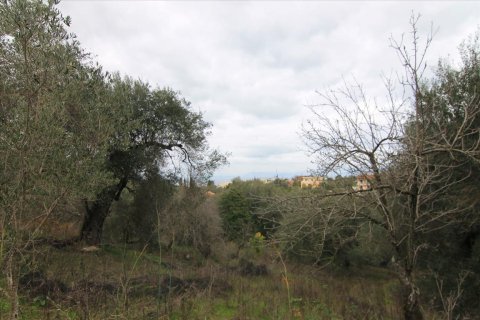 6400m² Land en Corfu, Greece No. 58357 10