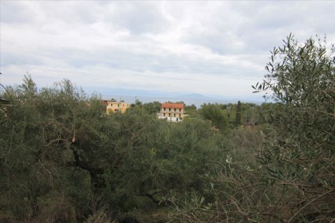 6400m² Land en Corfu, Greece No. 58357 16