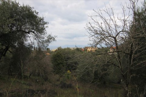 6400m² Land en Corfu, Greece No. 58357 12