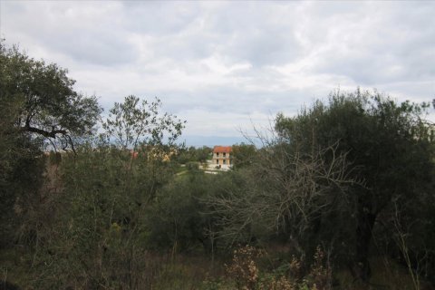 6400m² Land in Corfu, Greece No. 58357 13