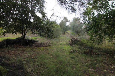 6400m² Land en Corfu, Greece No. 58357 9