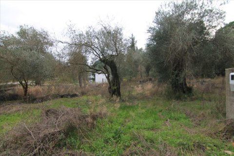 6400m² Land à Corfu, Greece No. 58357 4