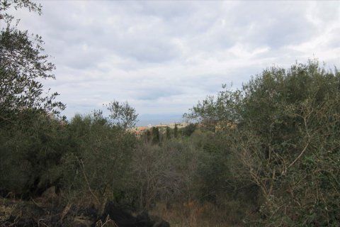 6400m² Land en Corfu, Greece No. 58357 15