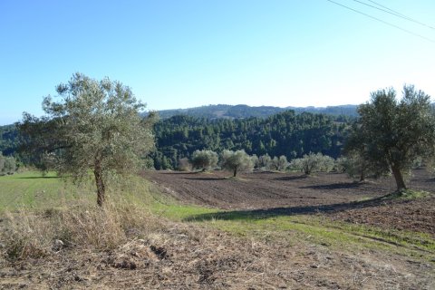 11738m² Land à Chalkidiki, Greece No. 58397 3