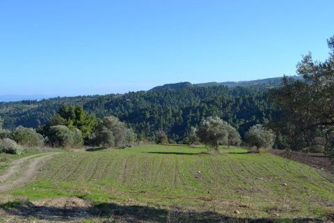 11738m² Land in Chalkidiki, Greece No. 58397 8