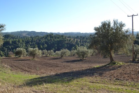 11738m² Land in Chalkidiki, Greece No. 58397 7