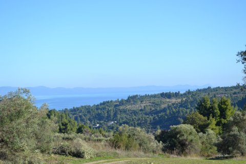 11738m² Land in Chalkidiki, Greece No. 58397 1