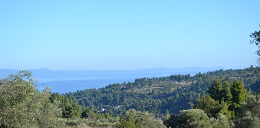 11738m² Land en Chalkidiki, Greece No. 58397