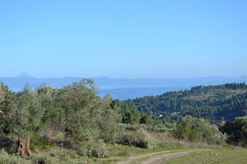 11738m² Land en Chalkidiki, Greece No. 58397 2