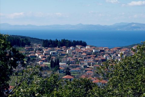 6 chambres House à Magnesia, Greece No. 59528 8