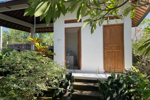 3 bedrooms Villa in Singaraja, Indonesia No. 45299 3