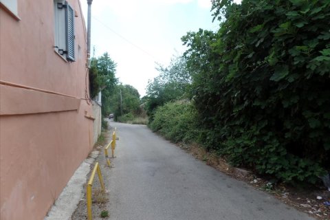 7000m² Land à Corfu, Greece No. 58072 4