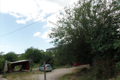 7000m² Land in Corfu, Greece No. 58072 1