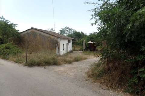 7000m² Land en Corfu, Greece No. 58072 2