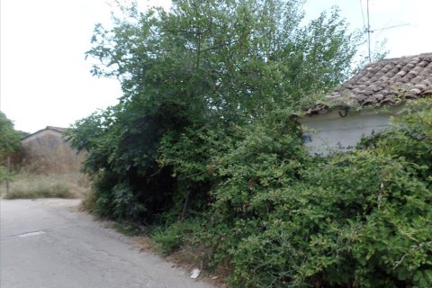 7000m² Land in Corfu, Greece No. 58072 3