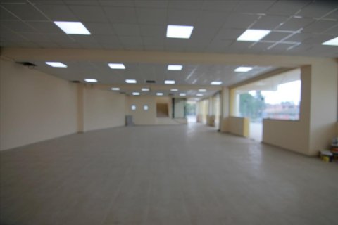 Готовый бизнес 900м² в Керкира, Греция №58068 13