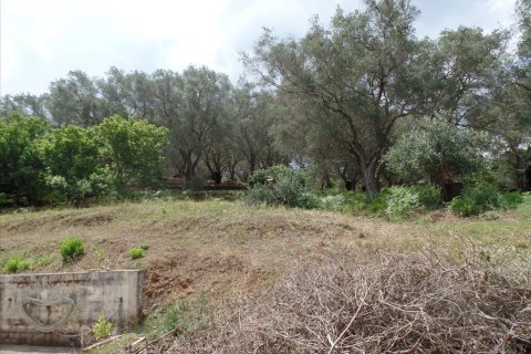 4005m² Land à Corfu, Greece No. 58070 3