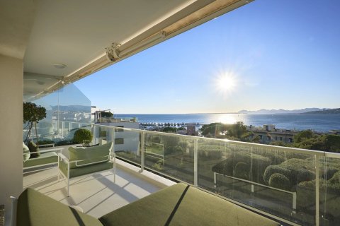 Apartamento tipo estudio Estudio en Antibes, France No. 67955 1