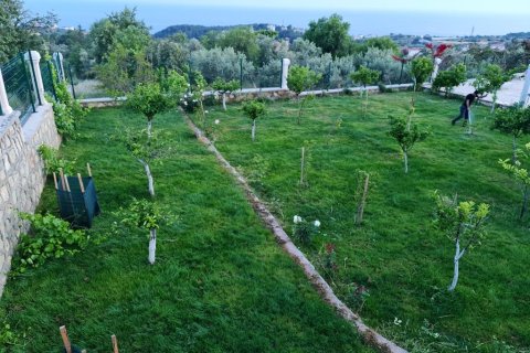 7+1 Villa à Okurcalar, Turkey No. 14185 16