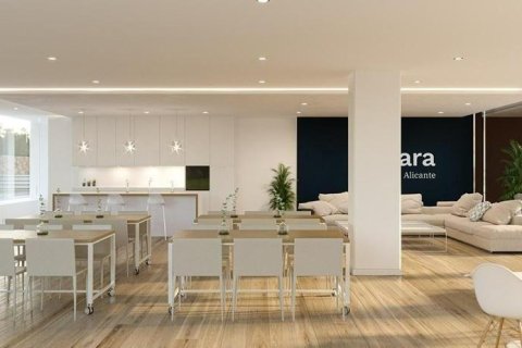 Квартира с 2 спальнями в Аликанте, Испания №92652 19