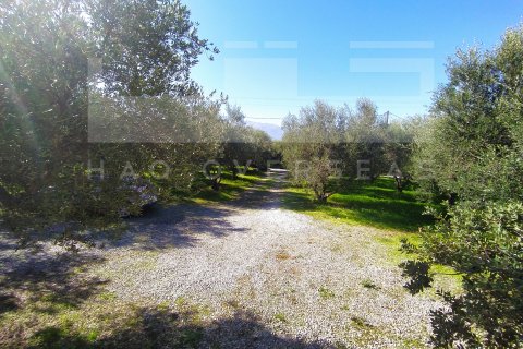 3 dormitorios Villa en Crete, Greece No. 24322 17