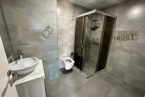 2+1 Penthouse à Kestel, Turkey No. 12809 18