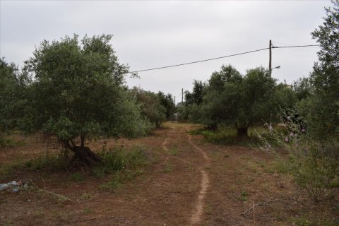 2300m² Land à Souda, Greece No. 58122 7