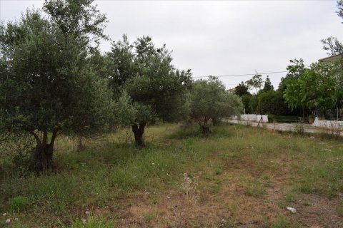 2300m² Land à Souda, Greece No. 58122 4