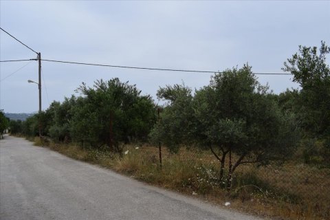 2300m² Land en Souda, Greece No. 58122 8