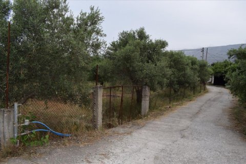 2300m² Land à Souda, Greece No. 58122 9