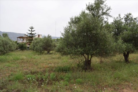 2300m² Land à Souda, Greece No. 58122 5