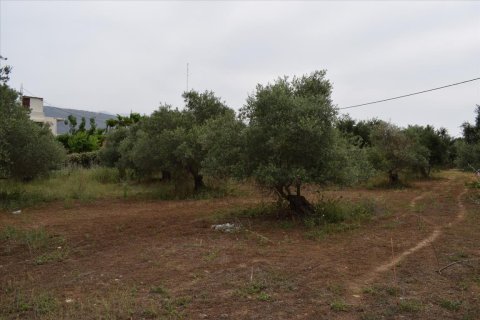 2300m² Land en Souda, Greece No. 58122 6