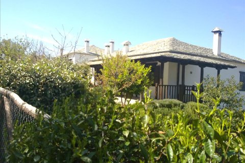 5 dormitorios Villa en Argalasti, Greece No. 58125 20