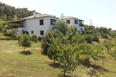 5 chambres Villa à Argalasti, Greece No. 58125 25