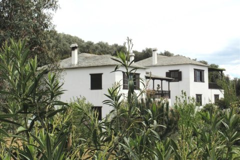 5 bedrooms Villa in Argalasti, Greece No. 58125 26