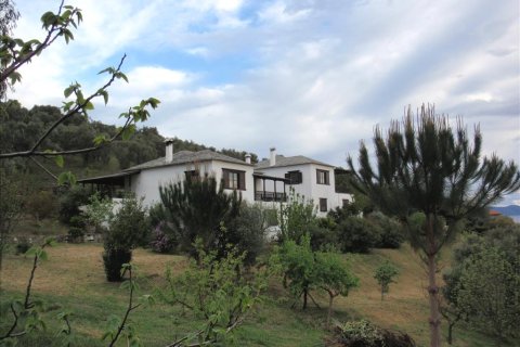 5 chambres Villa à Argalasti, Greece No. 58125 22