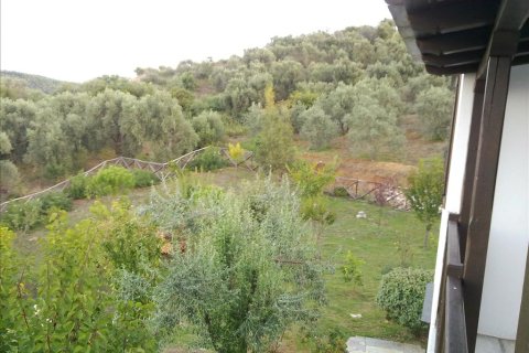 5 bedrooms Villa in Argalasti, Greece No. 58125 30