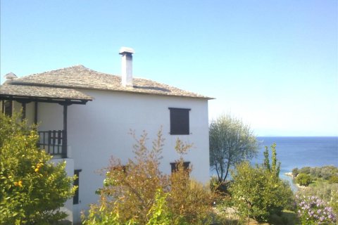 5 dormitorios Villa en Argalasti, Greece No. 58125 21